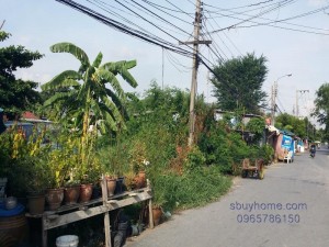 ที่ดินดอนเมือง