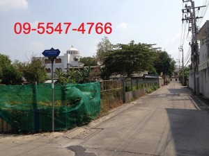 ที่ดิน ราคาถูก ลาดพร้าว