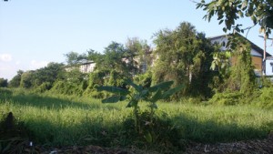 ที่ดินราคาถูกรามคำแหง