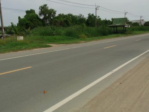 ที่ดินบางพลี ราคาถูก