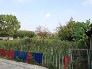 ที่ดิน ราคาถูก ถนนสตรีวิทยา
