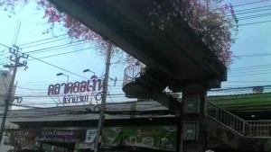 ที่ดินเปล่า ถมแล้ว ราคาถูก