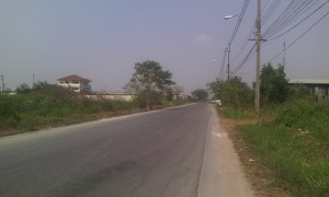 ที่ดิน ราคาถูก