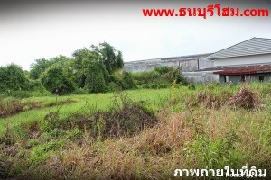 ที่ดิน บางกระดี่