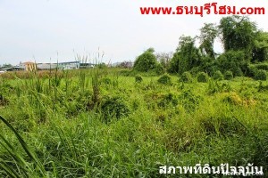 ที่ดิน ราคาถูก พระราม 2 บางกระดี่