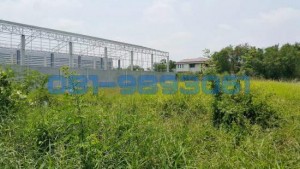 ที่ดินราคาถุก