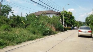 ที่ดินราคาถูก