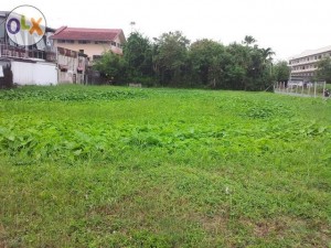 ที่ดินราคาถูก