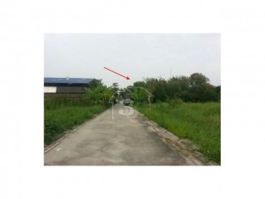 ที่ดิน ราคาถูก